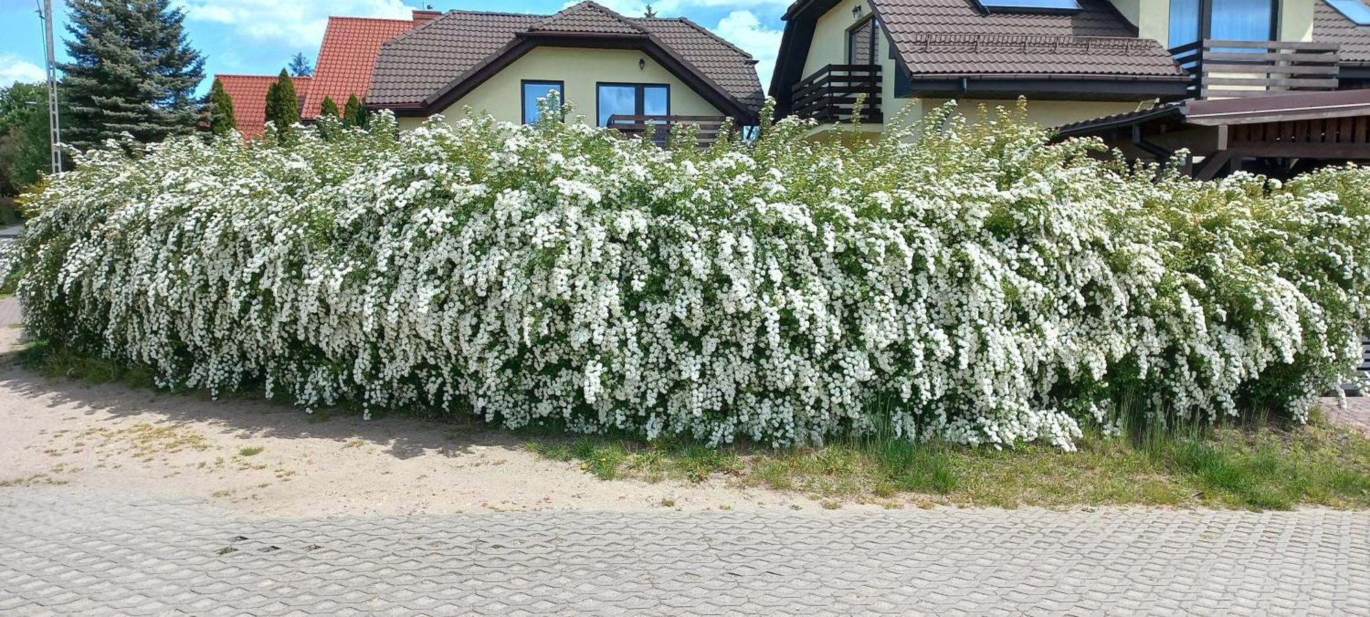 Apartment Sloneczny Danzig