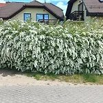 Apartament Sloneczny